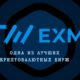 EXMO – подробный обзор